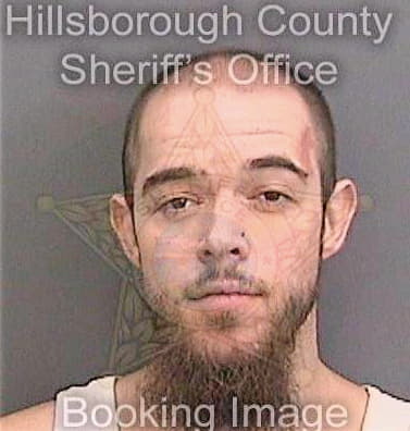 Biesenthal Andrew - Hillsborough County, FL 