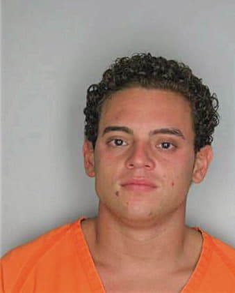 Salas Michael - Hillsborough County, FL 