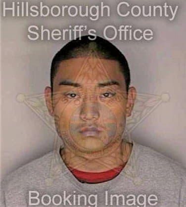 Sims Nicholas - Hillsborough County, FL 