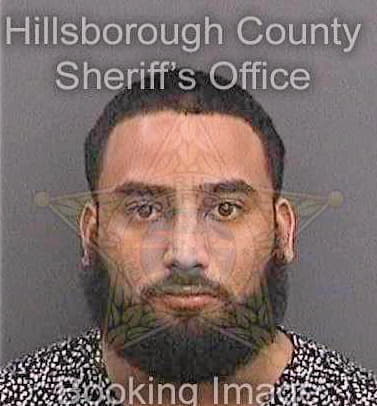 Sotohostos Erwin - Hillsborough County, FL 