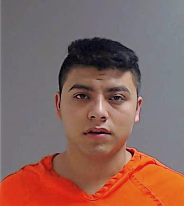 Arias Hector - Hidalgo County, TX 