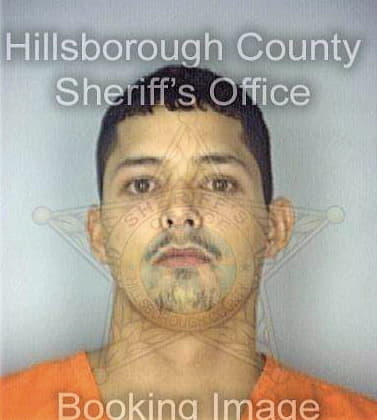 Santiago Alex - Hillsborough County, FL 