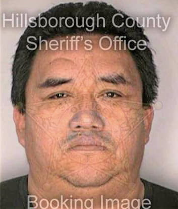 Meza Francisco - Hillsborough County, FL 