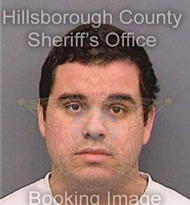 Vallejo Josue - Hillsborough County, FL 