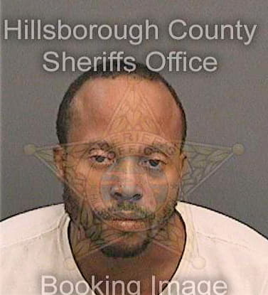 Lewis Terrance - Hillsborough County, FL 