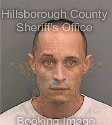 Martinez Benjamin - Hillsborough County, FL 