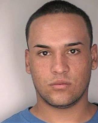 Cardona Hammer - Hillsborough County, FL 