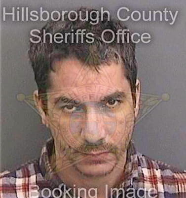 Gonzalez-Tejada Osmany - Hillsborough County, FL 