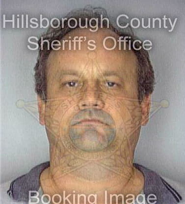 Boyle Dennis - Hillsborough County, FL 