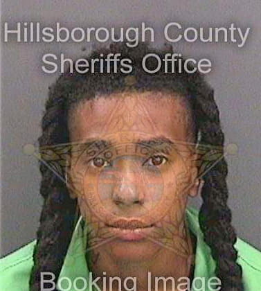 Lawrence Sierra - Hillsborough County, FL 