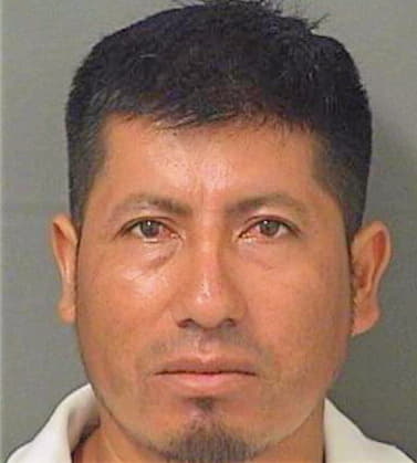 Perezortiz Alvaro - PalmBeach County, FL 