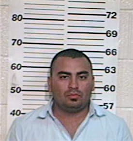 Hernandez Ivan - Hidalgo County, TX 