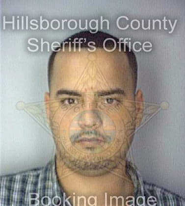 Caraballo Hector - Hillsborough County, FL 