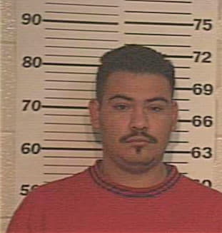 Hernandez Manuel - Hidalgo County, TX 