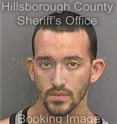 Dejesus Fernando - Hillsborough County, FL 