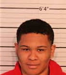 Johnson Michael - Shelby County, TN 