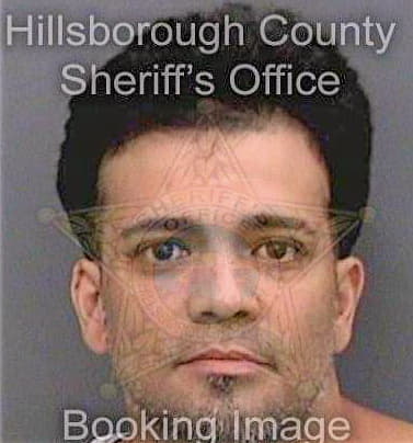 Lopez Anthony - Hillsborough County, FL 