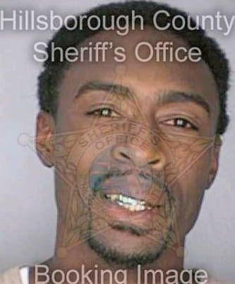Bogan Henry - Hillsborough County, FL 