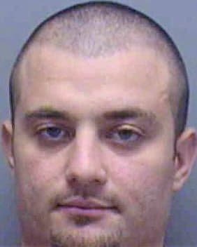 Stinnett Michael - Lee County, FL 