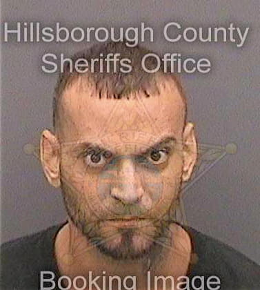 Martinez Alejandro - Hillsborough County, FL 