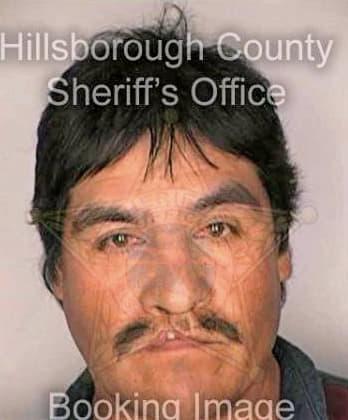 Lugotrejo Jeronimo - Hillsborough County, FL 