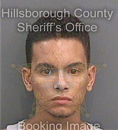 Martinez Lorenzo - Hillsborough County, FL 