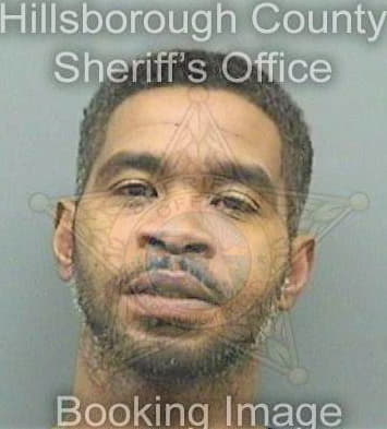 Shine Terron - Hillsborough County, FL 