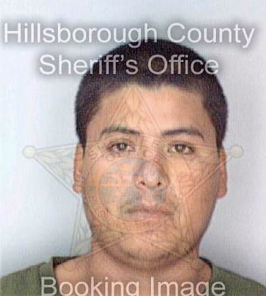 Sanchezarvizo Alejandro - Hillsborough County, FL 