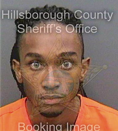 Hamilton Jeremiah - Hillsborough County, FL 