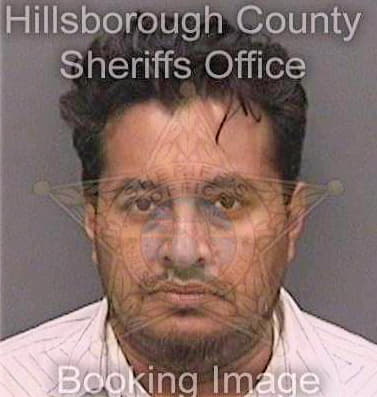 Trejoramirez Santiago - Hillsborough County, FL 