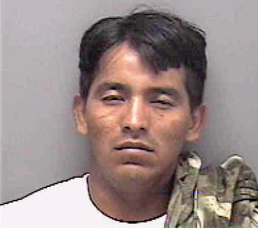 Martinez Arturo - Lee County, FL 