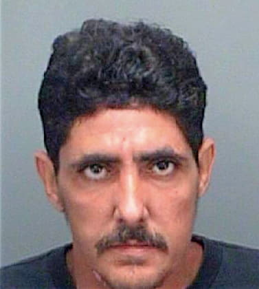 Guzmangonzalez Carlos - Pinellas County, FL 