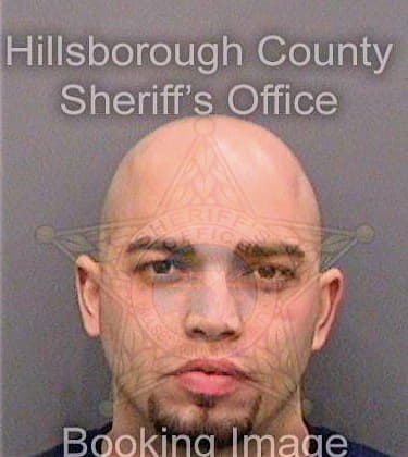 Hernandez Ulises - Hillsborough County, FL 