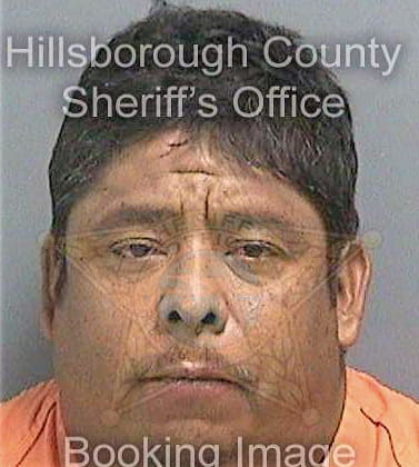 Martinez Leonardo - Hillsborough County, FL 