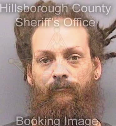 Simon Julian - Hillsborough County, FL 