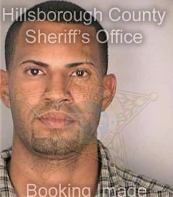 Mendoza Elvin - Hillsborough County, FL 