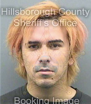 Diazvargas Steven - Hillsborough County, FL 