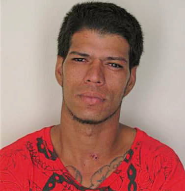 Melecioortega Edwin - Hillsborough County, FL 