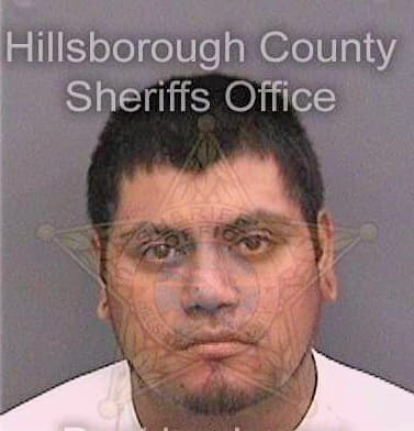 Cordova Alejandro - Hillsborough County, FL 