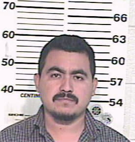 Rivera Alvaro - Hidalgo County, TX 