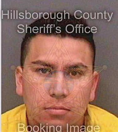 Britogalindez Cesar - Hillsborough County, FL 