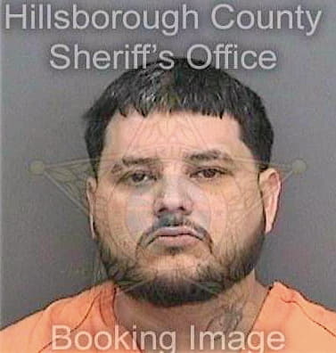 Ramirez Carlos - Hillsborough County, FL 