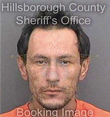 Lopez Alejandro - Hillsborough County, FL 