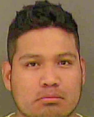 Hernandez Luis - Mecklenburg County, NC 