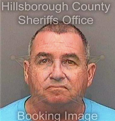 Massanetbeltran Nelson - Hillsborough County, FL 