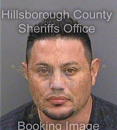 Reynososandoval Amador - Hillsborough County, FL 