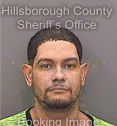 Toledo Wilson - Hillsborough County, FL 