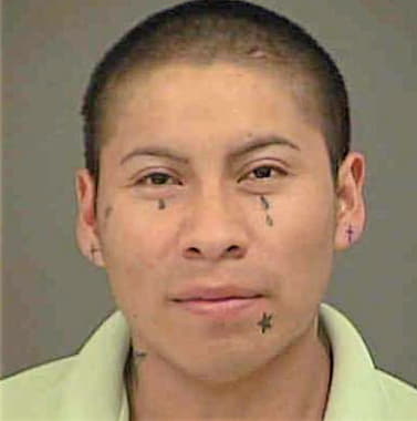 Roarez Hector - Mecklenburg County, NC 