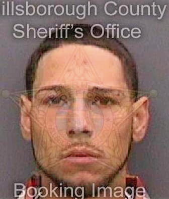 Perez Julio - Hillsborough County, FL 