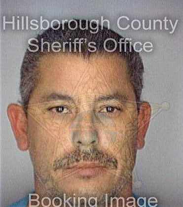 Soler David - Hillsborough County, FL 